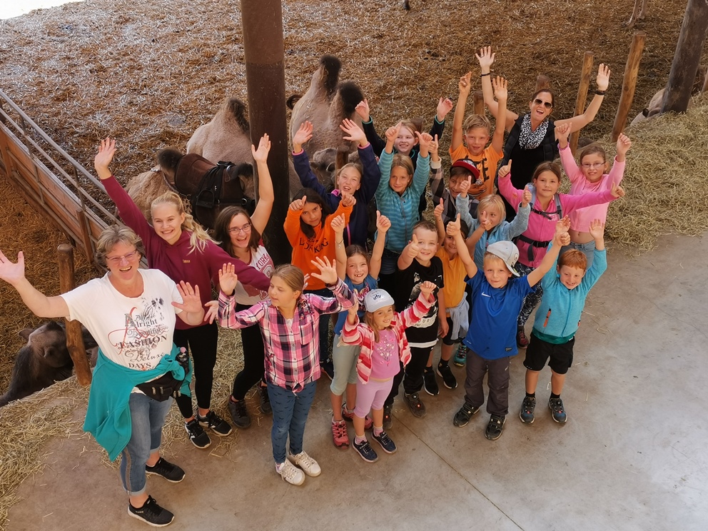 Kinderferienprogramm 2019, Auflug Kamelhof Gruppenaufnahme