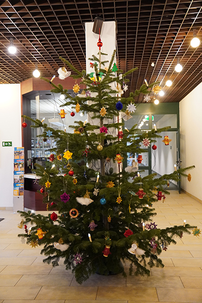 Christbaum, Haus Berghof, Traunreut, Stadt Traunreut