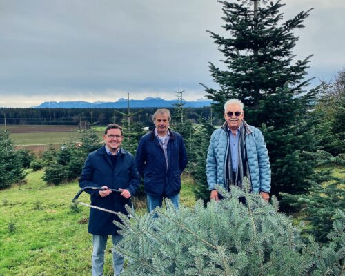 Christbaum Rathaus 2024