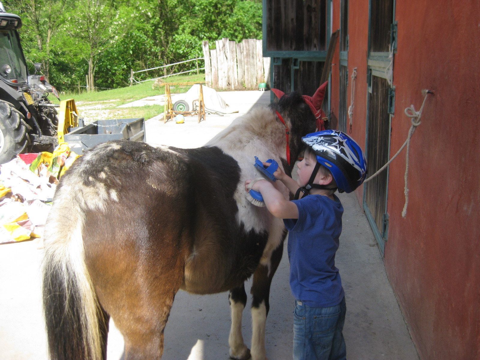 Spiel und Spaß mit Pferden für Kinder von 4 bis 10 Jahren